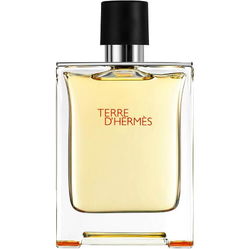 Hermes Terre Intense Vetiver EDP 100 ml – Парфюм за мъже